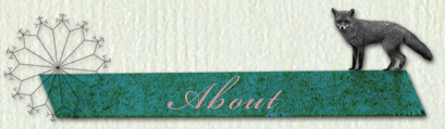 banner_about